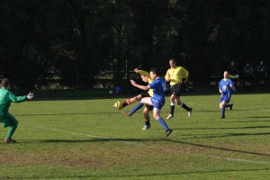 wifcvafcw_050w
